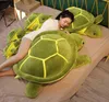 354555cm Belle tortue en peluche jouet kawaii animaux poupées en peluche animale douce coussins d'anniversaire de tortue de tortue pour fille y26244058