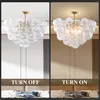 Nordic Bubble Ball Rotating Glass Ceiling Light Fixture 24 Inch Diameter Brass and Clear Blown Glass Small Pendant Light for Bedroom Study Bathroom