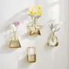 Placas decorativas Metal Prateleiras de flores douradas vaso hidroponia prateleiras de plantas penduradas na parede