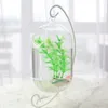 15cm Suspended Transparent Hanging Glass Fish Tank Infusion Bottle Aquarium Flower Plant Vase For Home Decoration Aquariums229o