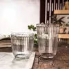 Wine Glasses Creative Inside Striped Coffee Cup Vertical Glass Household Transparent Water Juice Milk Breakfast