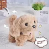 Electric/RC Animals Six types of childrens toys cute pet dogs with dog cages walking calls electronic toys interactive childrens birthday giftsL2404