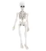 Halloween Toys Movible Mr Bones Skeleton Human Model Skull Full Body Mini Figur 2208232388064