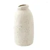 Vasi moderni moderni vasi di fiori opachi in ceramica con manico per la fattoria decorativa decorativa per disposizione floreale secca