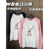 T-shirts masculins wd arc-en-ciel amour petit ours imprimé raglan t-shirt à manches longues