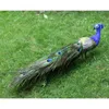 Decorative Figurines Feathered Peacock Figure Landscape Animal Ornaments Crafts Garden & Yard Decoration