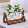 Vases Tabletop Terrarium Hydroponic Plant Decoration Wooden Frame Vintage Glass Vase Planter Home Decor Bonsai Flower Pot