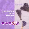 Decorative Flowers 100g Natural Lavender Dried Bohemian Decor Fragrance Aesthetic Valentine's Day Party Bridal Bouquet Wedding Decoration