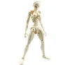 Type d'action complète spéciale3 SFBT3 29cm Figure Figure Body Module Collection Gifts H22040875453663936347