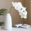 Dekoratif çiçekler 5 adet orkide yapay simülasyon bitkileri ev el tablo dekor partisi diy süsleme