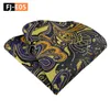 Pescoço amarra o terno da moda Men Paisley Tie Pattern Pocket Square Handkerchief Hankies de seda para entrega de gotas Acessórios de moda OT3R1