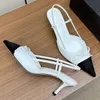 Spring Nouvelles chaussures pointues célèbres femmes designer de luxe importés en peau de mouton Mesh doublure mixte Fashion classique en cuir authentique semelles hautes talons