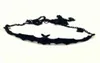 CHOKERS FASHE GOTH NERO BLACI GRANDE ALA OPENTALE COLLARI FORMATI BACK SPOCKY HALLOWEEN regalo Men039S e Women039s Collana corta2909384