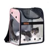 Transporteurs de chats portables transporteurs de compagnie de voyage pour animaux de compagnie pour les petits chiens extensible sac complet transparent respirant