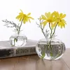 Vases Vase Pomegranate Cachepot For Home 2sizes Glass Creative Flowers Transparent Flower Decoration Red Hydroponic Shape