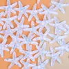 Miniature miniature colorée, Fairy Garden Mini Starfish Marine Life Collection pour les projets d'artisanat, décorations 313