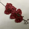 装飾的な花6ヘッドバタフライ蘭