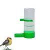 Diğer Kuş Malzemeleri 5 PCS Su Besleyicisi İçeri Papetler için Squirrel Boyutu