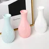 Vases Plastic Color Pot Shape Decorative Crafts Drop Resistant Dry And Wet Flower Arrangement Container