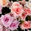 Flores decorativas Falsas artificiais rosa 10 cabeças buquê de seda com hastes de plástico para mesa de casamento Plantas centrais plantas de presente decoração de casa decoração