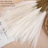 Decorative Flowers 5Pcs Artificial Pampas Grass Bouquet Year Holiday Party Home Decoration Simulation DIY Fake Dried Flower Wedding