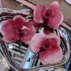 Saplama küpeler retro kelebek orkide tatlı moda phalaenoid küpe boncuklu romantik zarif kulak klip