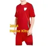 2024 2025 Galler Milli Takım Futbol Formaları Euro Cymru Bale James Allen Wilson Vokes Ramsey Ampadu Jersey 24 25 Erkek Çocuk Kitleri Maillot De Futbol Gömlekleri