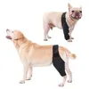 RÉVERSION DES APPALES CHIEN RÉCULTATION SUPPORT FIXE BRACE PET Protecteur Pain Soulagement Pied Feet Cover La jambe Enveloppe d'articulation Récupérer les tampons de genou