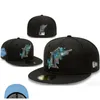 Chapeau à chapeau en forme pour hommes chapeaux de baseball Black Couleur toute équipe Outdoors Sports Sports Patchée Full Fermed Ciked Hats Mix Commande 7-8