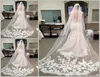 2019 Vendre le moins cher en stock Long Chapel Longueur Veille nuptiale Appliques Long Wedding Veil Lace Applique avec combinaison avec combinaison