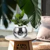 Vases Mirror Succulents Pot Ball Flower Gardening Flowerpot Desktop Nursery Accessory Plastic Disco Planter Flowerpots