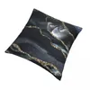 Oreiller Night Masculine Marble Paysages d'oreiller décorations de couverture d'oreiller Nordic Style Throw Case siège carré 40cm