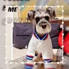 Vêtements de vêtements pour chiens Style d'hiver automne schnauzer en peluche frisée peluche à quatre pattes à capuche anti-chouchis