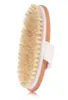 Corpo de pele seca Brecha natural Bristle Bristle Banch Bush Bristle Brush Spa Brush sem alça 20208720825