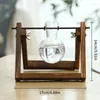 Vases Plants Transparent Bulb Vase With Wood Stand Creative Planter Hydroponic Holder Home Garden Office Decoration 21x15cm