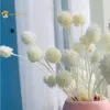 装飾的な花天然乾燥本物のイチゴ果物植物花束自由ho放な家の装飾人工花の結婚式のパーティー装飾アクセサリー
