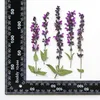 Fiori decorativi 9-14 cm/12 pezzi Mini Branch di fiori pressati Dry Dy-da-te Bookmark PO Fradamo Drip Glue Table Lampa