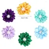 Abbigliamento per cani 30pcs PET Multicolore Flower Hair Bows Accessori per cuccioli di cucciolo di gatto medio