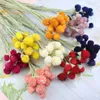 Decorative Flowers Natural Dried Real Strawberry Fruit Plant Bouquet Boho Home Decor Artificial Flower Wedding Party Decoration Accessories