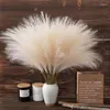 Fleurs décoratives Artificial Pampas Decor Grass Faux 5pcs / Lot Fake Frone Branches For Boho Home Table Mariage Party Navidad Arrangements floraux