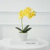 Fleurs décoratives fleur artificielle phalaenopsis bonsaï plante décoration home décoration affichage
