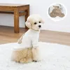 Hundkläder Autumn Pet Clothes Cute Cartoon Bear Dogs Sweatshirt Pullover för valp Small Medium Girls Coats Chihuahua Yorkshire