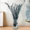 Dekorative Blumen 12 PCs Eukalyptus Zweige getrocknete Stiele für Hochzeitshaus DIY Restaurant El Bürodekoration Handwerk in Ins Dekor