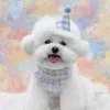 犬のアパレルかわいいペットビブハットセット誕生日プレゼント小さい犬のための子犬のアクセサリー