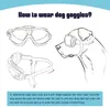 Hundekleidung Sonnenbrille für kleine große Hunde UV -Schutz Haustiergläser faltbar Brillenbrillen Augenkleidung