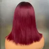 Groothandel Prijs Maleisische Peruaanse Braziliaanse 1B Wijn Red zijdezacht rechte 13x4 Transparant kanten frontale pruik 100% rauwe maagd Remy Human Hair