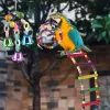 Reels Bird Cage Toys for Parrots Reliable Chewable Swing Hanging Wooden Beads Ball Bell Toys Pet Cage Accessories 5/ 6 /10pcs/set New