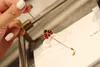 Designer Van Ladybug bracelet sept étoiles femelles épaisses électroplies luxueuses luxueuses blancs natural fritillaria rouge agate live difficulté avec logo