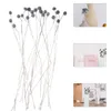 Decoratieve bloemen 20 pc's bruiloft Decor Natural Craspedia Grace Gedroogde bloem echte vaas Home Party Decors