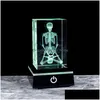 Dekorativa objekt Figurer Crystal 3D Laser Graverade Human Anatomical Skeleton Cube Model Statue Paperweight Anatomy Mind Neurol Dhapu